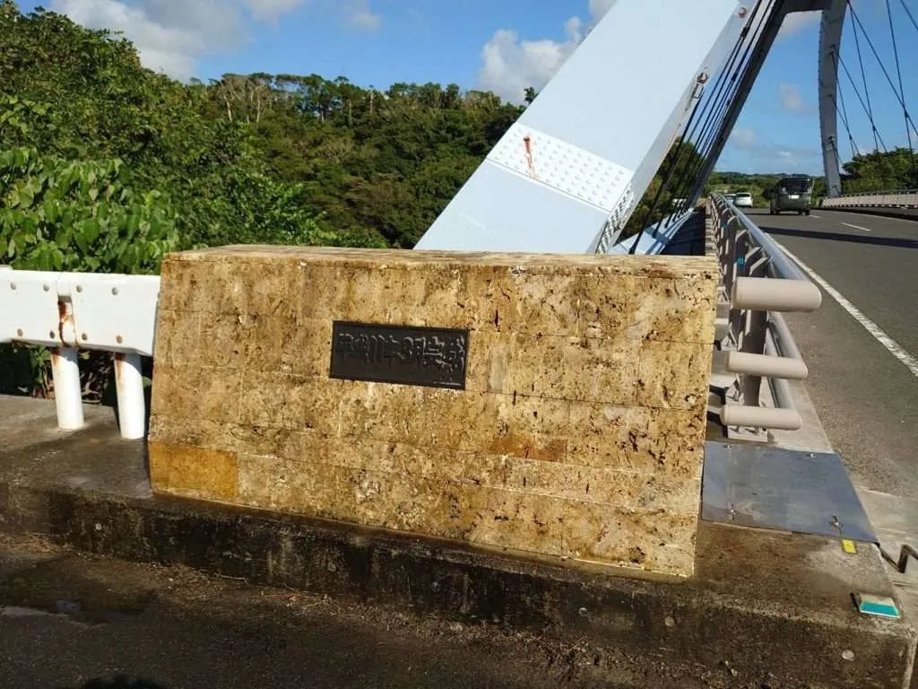 徳之島にてカビ取り作業