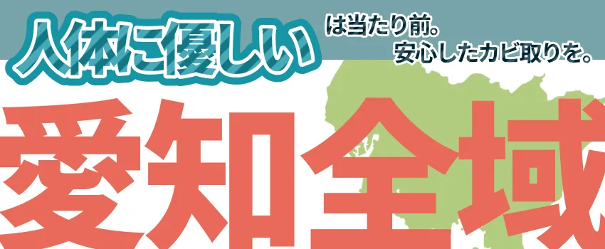 戸建に忍び寄る“カビ危機”！愛知県豊田市で急増中の見えない侵略者とは？｜【カビバスターズ岐阜】