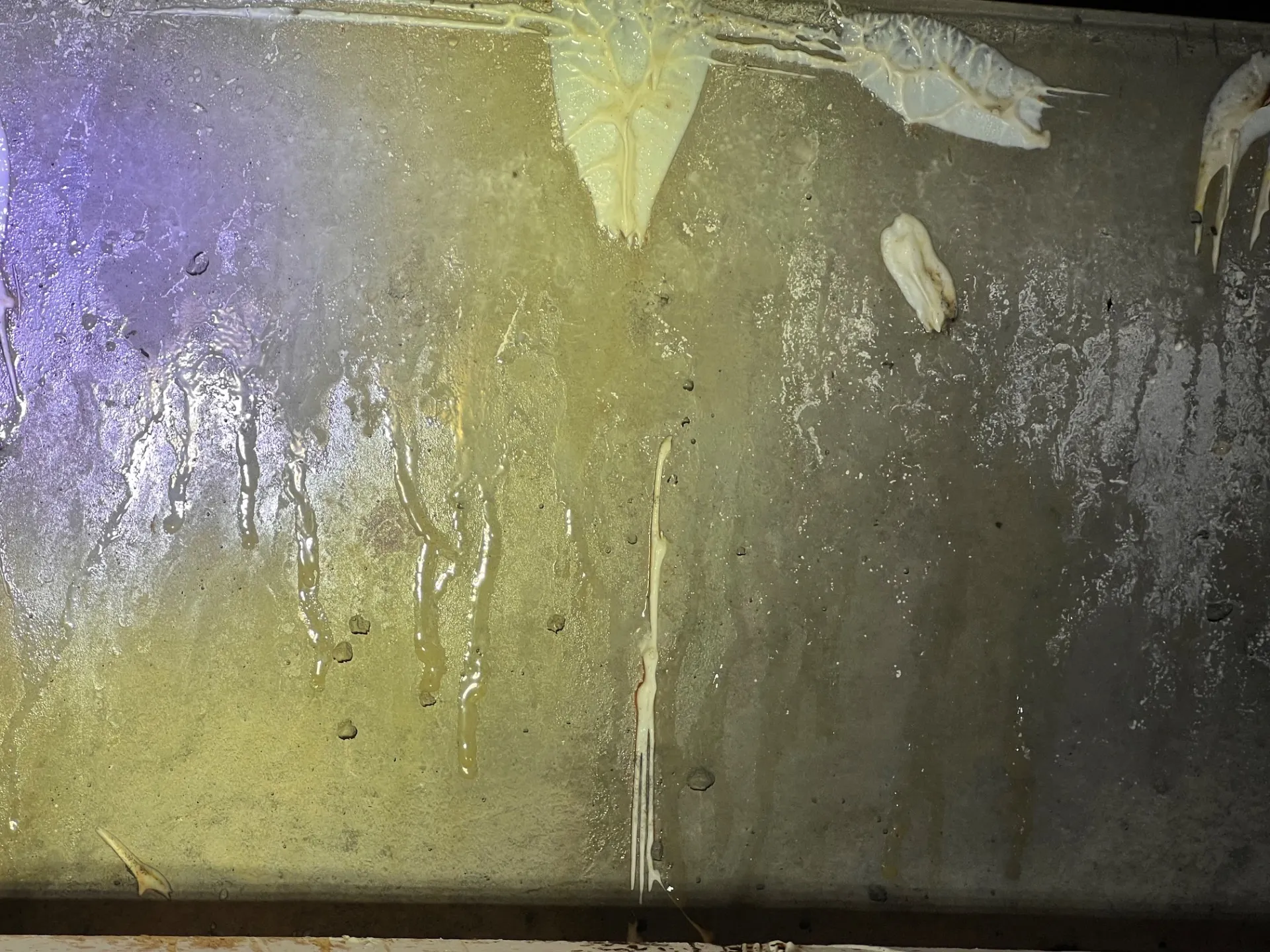 岐阜市で活躍するハウスメーカー様｜ZEH工法、床下カビの盲点とは｜カビバスターズ岐阜