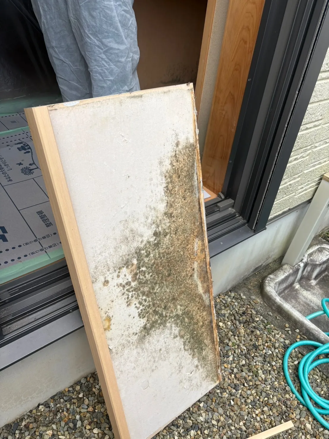 岐阜県岐阜市に住む方へ｜カビ対策は“業者選び”で結果が変わる｜クリーニング業者と除カビ専門業者の決定的な違い